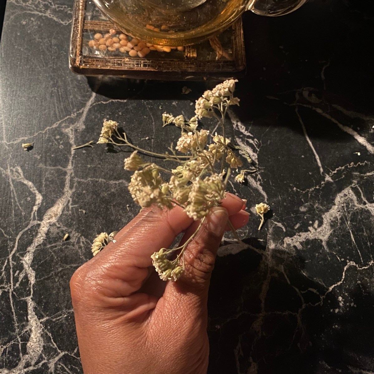 Staying in our&nbsp;bodies